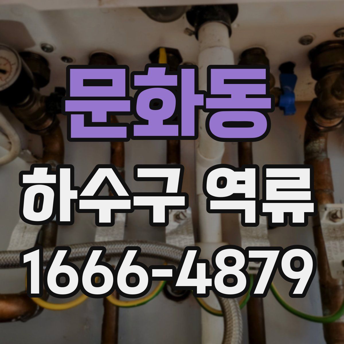 문화동 하수구 역류