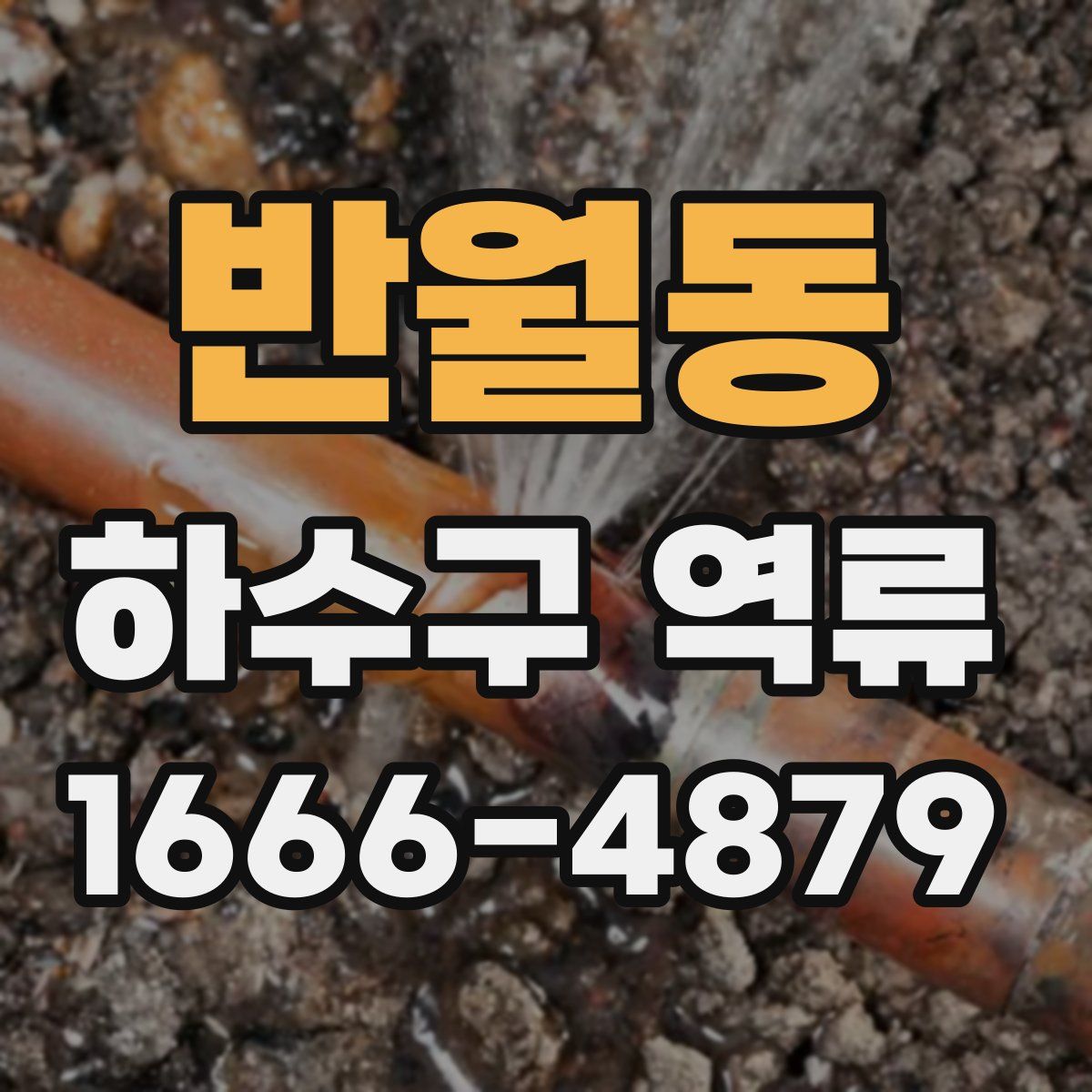 반월동 하수구 역류