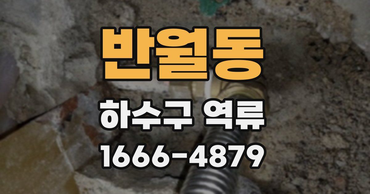 반월동 하수구 역류