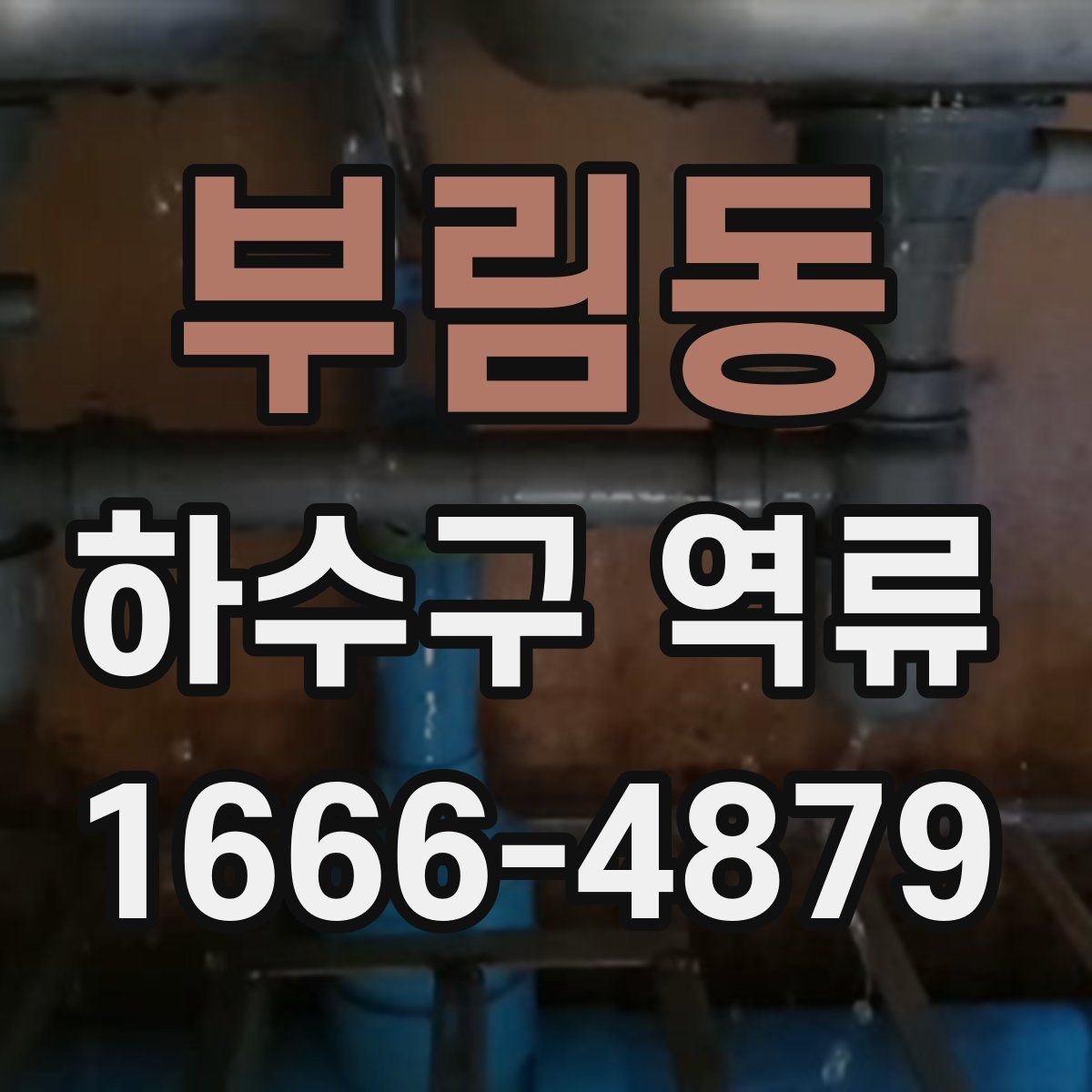 부림동 하수구 역류