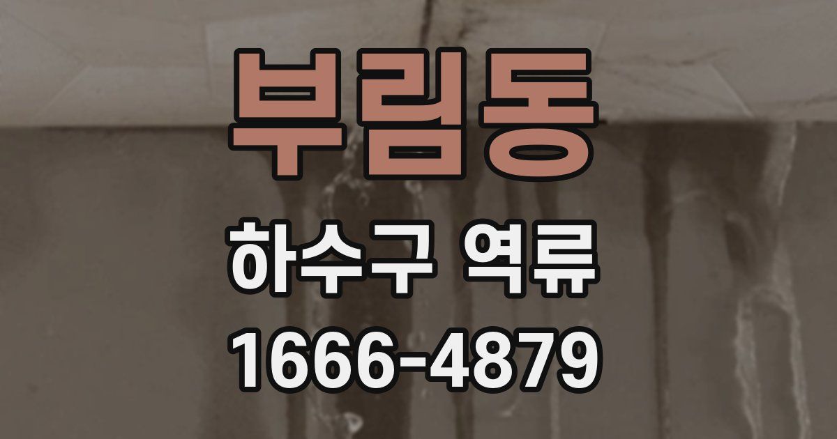 부림동 하수구 역류