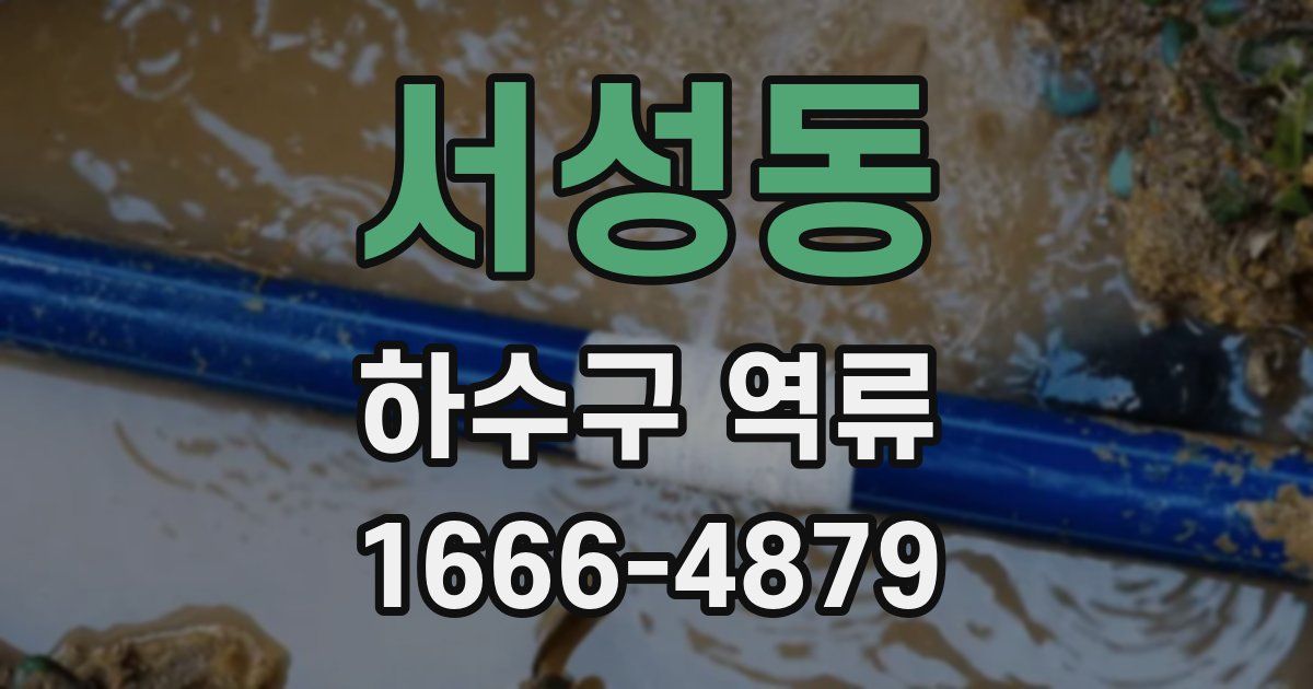 서성동 하수구 역류