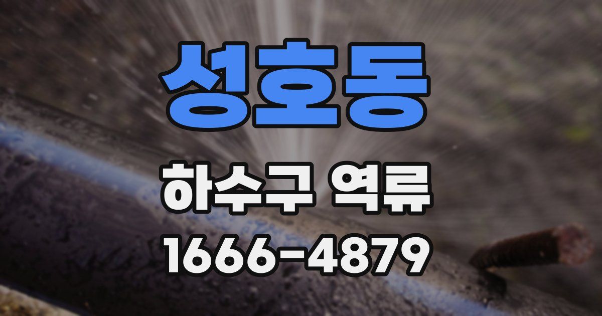 성호동 하수구 역류
