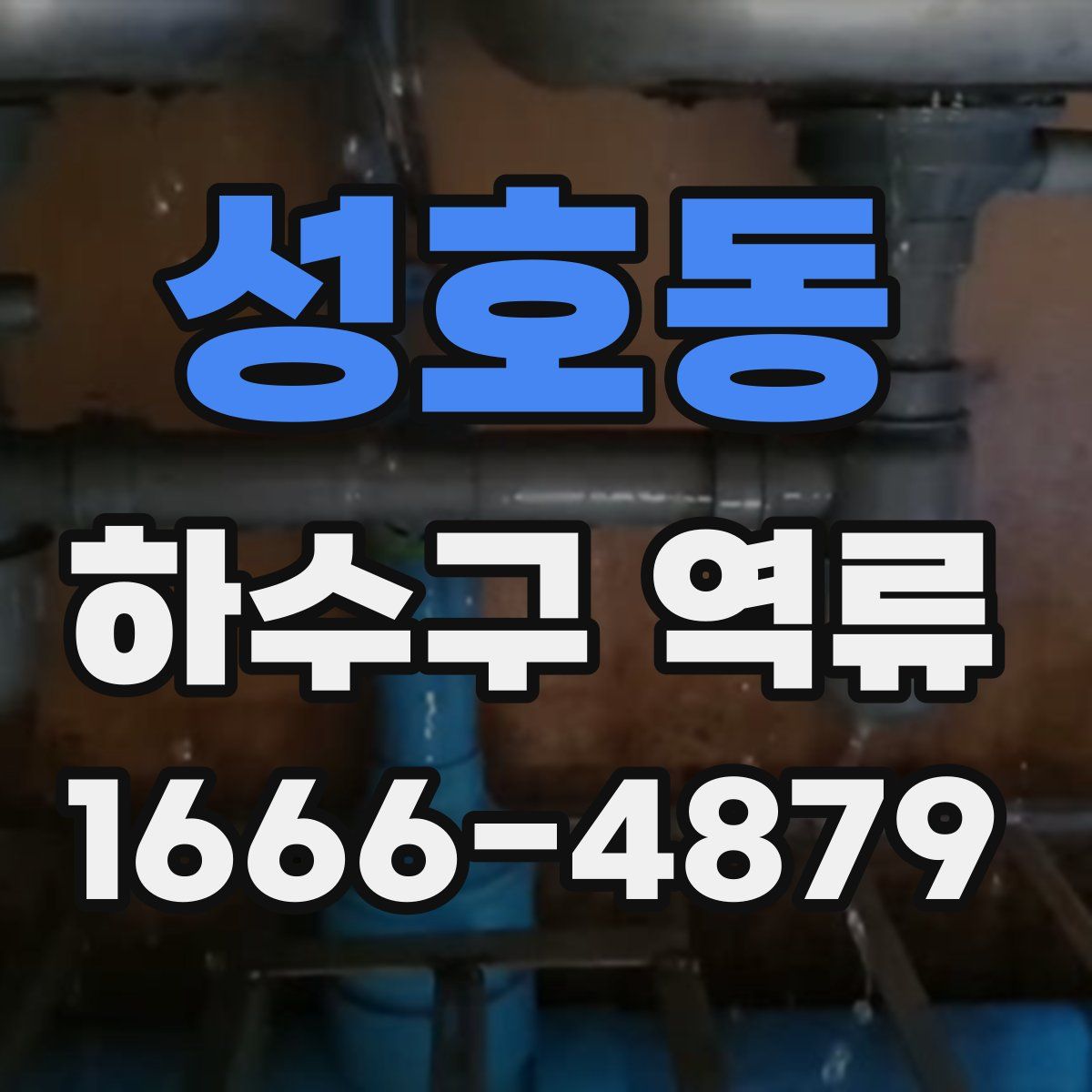 성호동 하수구 역류