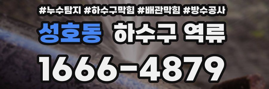 성호동 하수구 역류