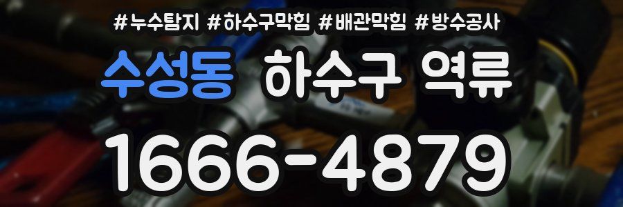 수성동 하수구 역류