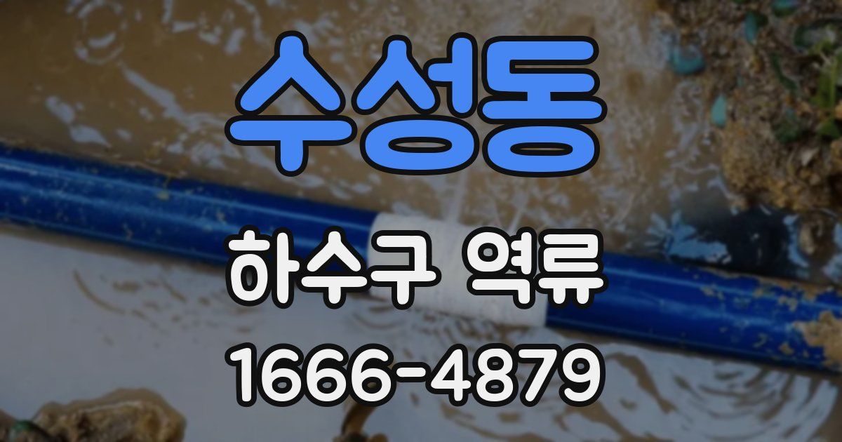 수성동 하수구 역류