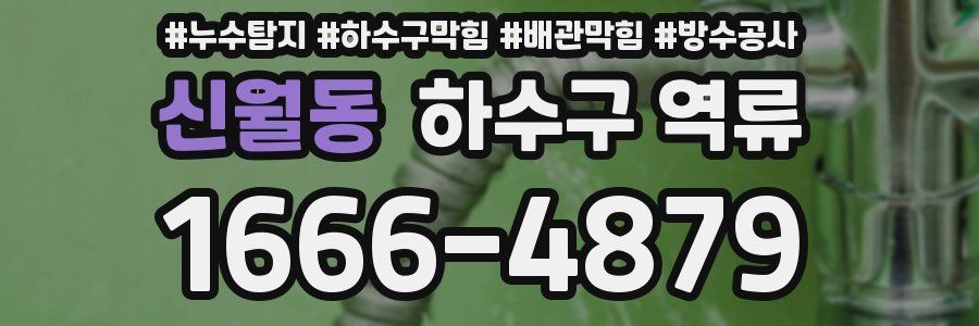 신월동 하수구 역류