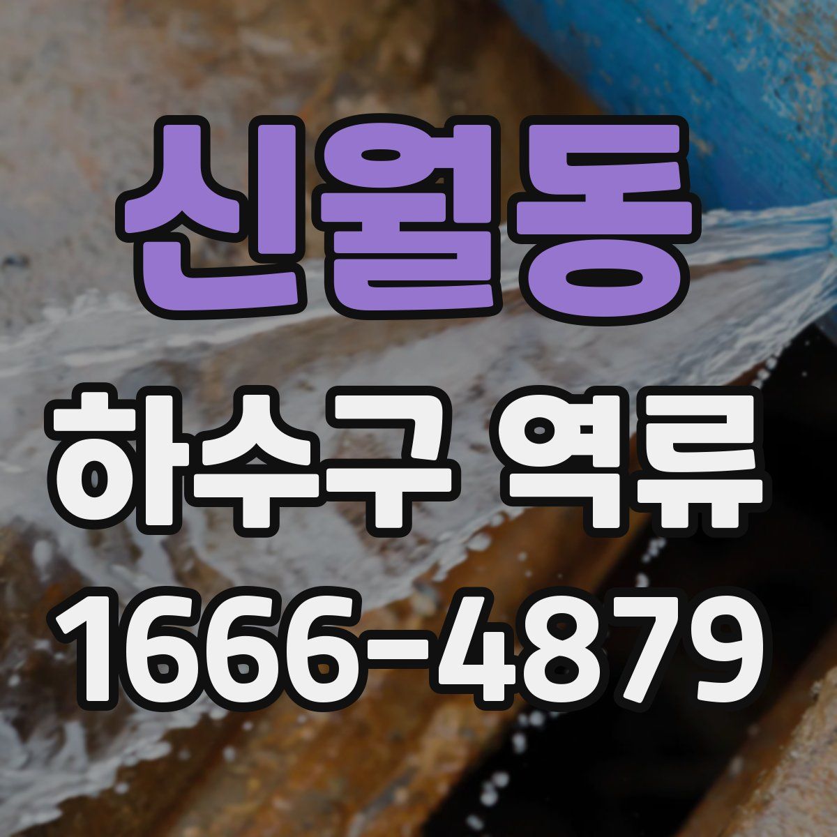 신월동 하수구 역류