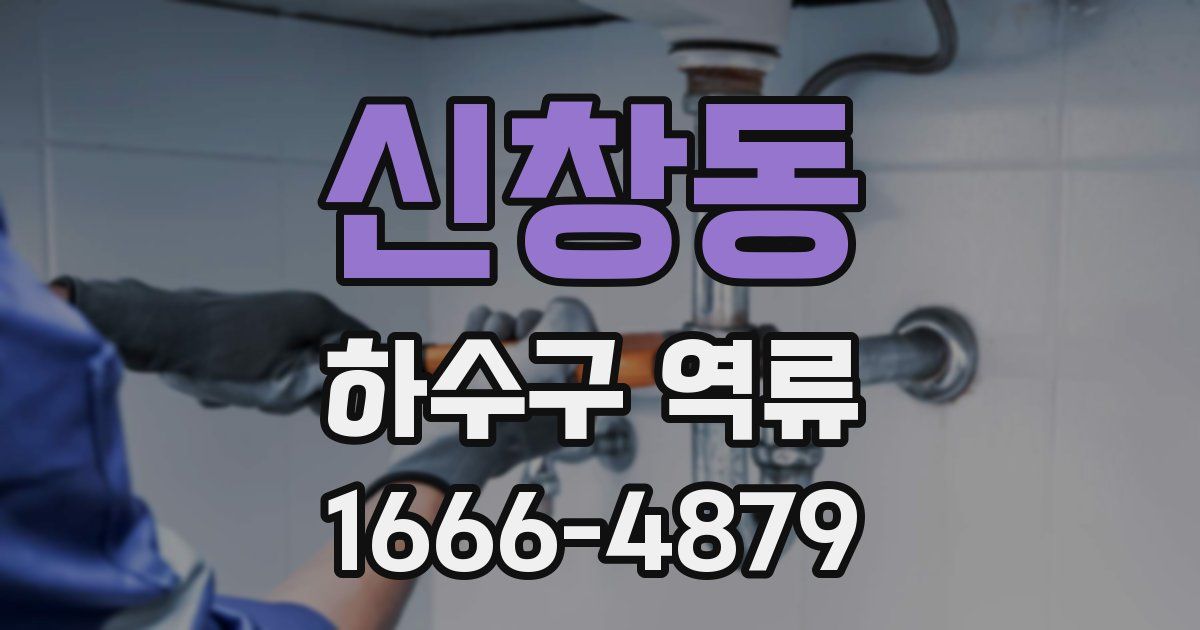 신창동 하수구 역류