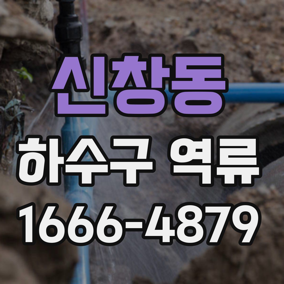신창동 하수구 역류