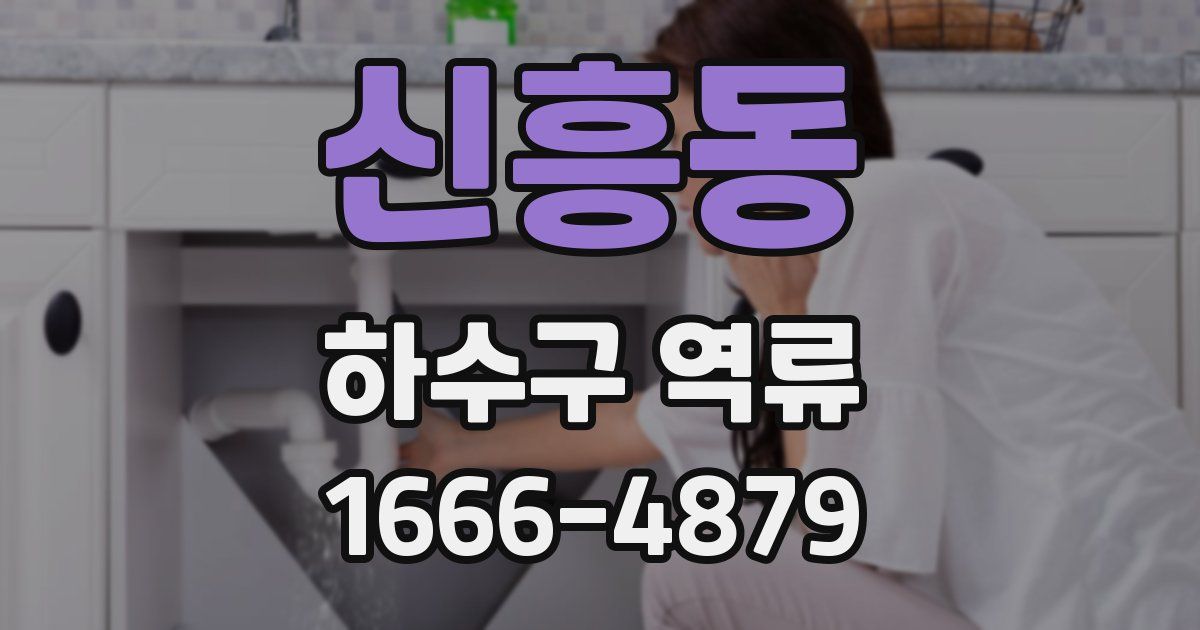 신흥동 하수구 역류