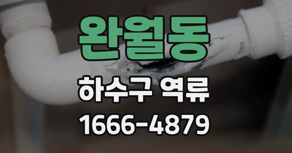 완월동 하수구 역류