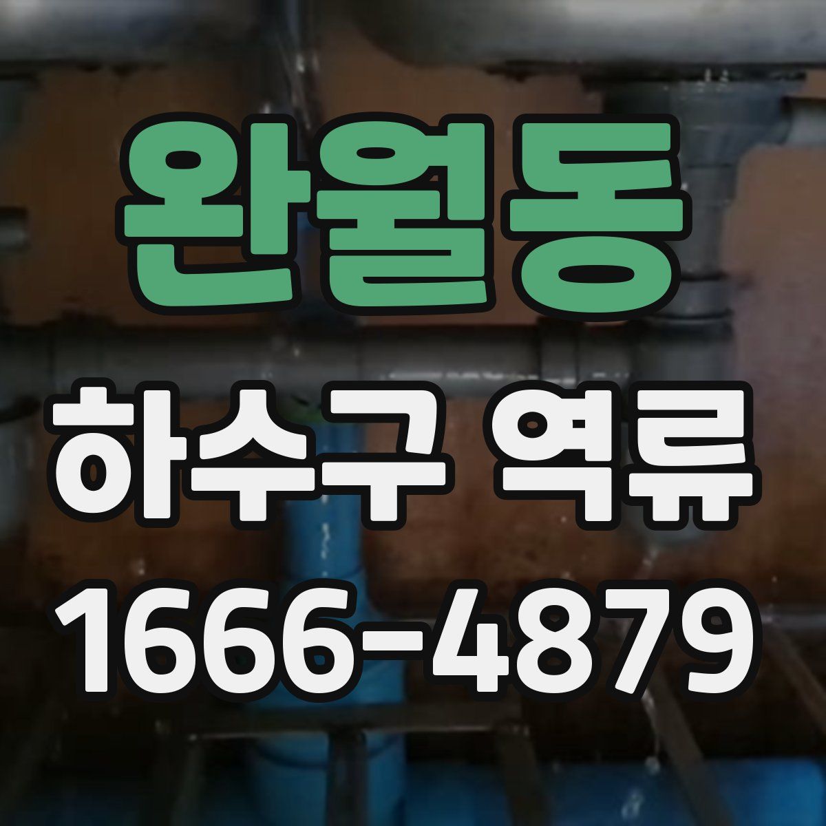 완월동 하수구 역류