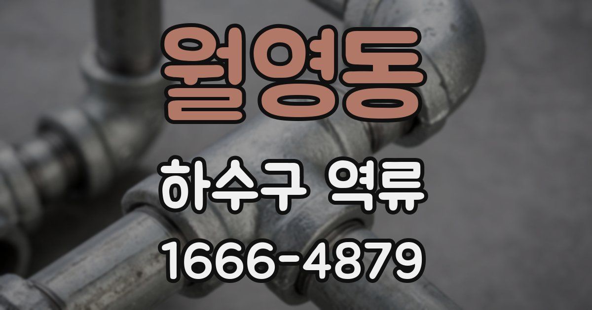 월영동 하수구 역류