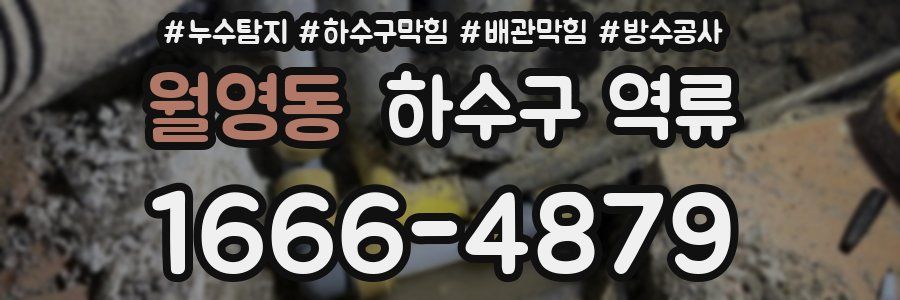 월영동 하수구 역류