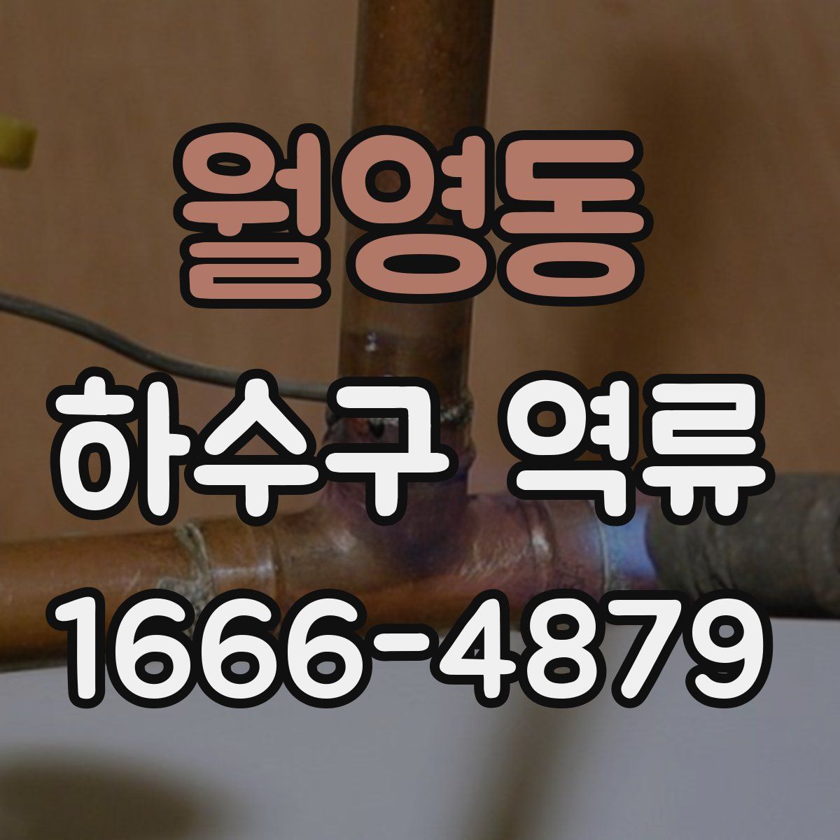 월영동 하수구 역류