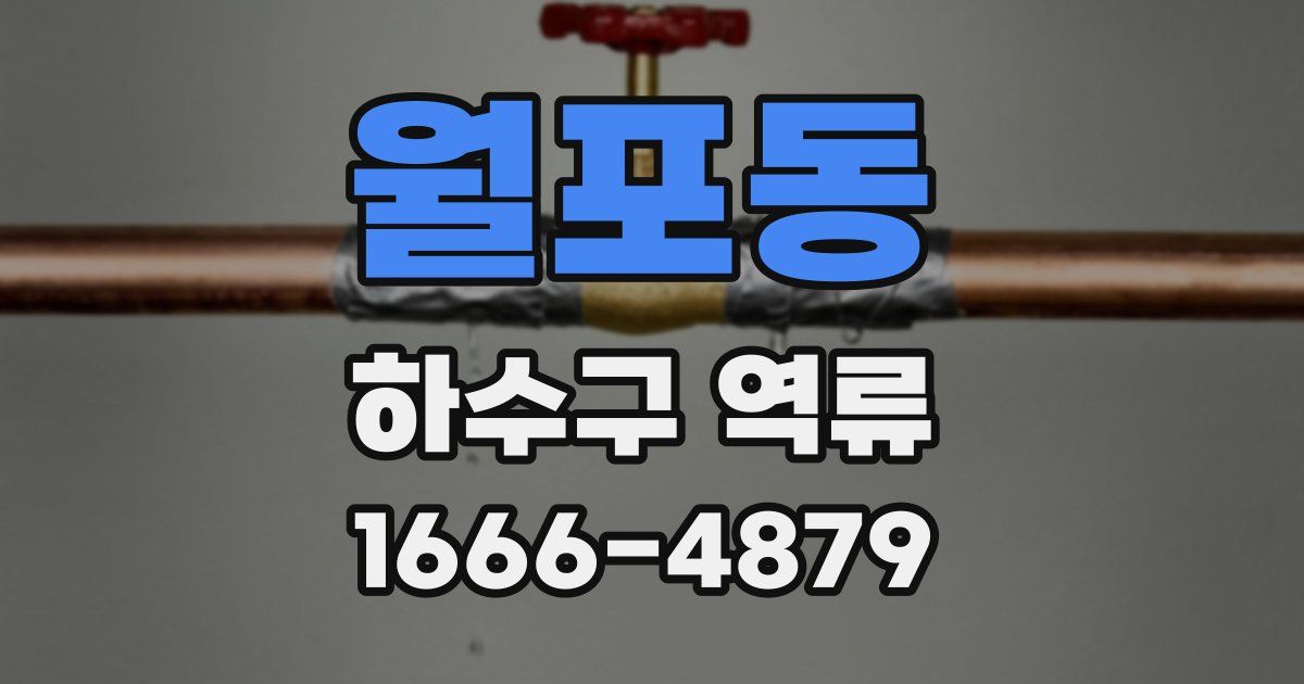 월포동 하수구 역류