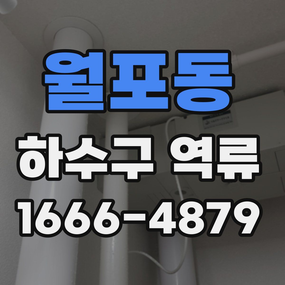 월포동 하수구 역류