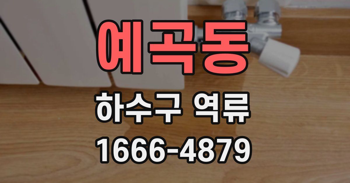 예곡동 하수구 역류