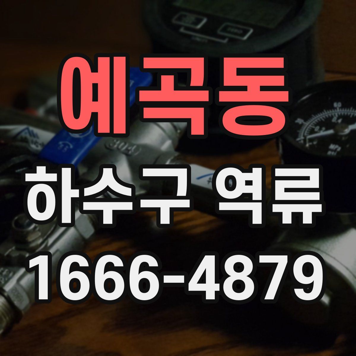 예곡동 하수구 역류