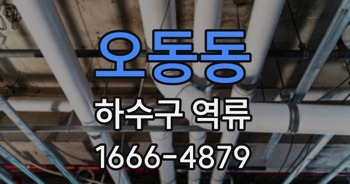 오동동 하수구 역류