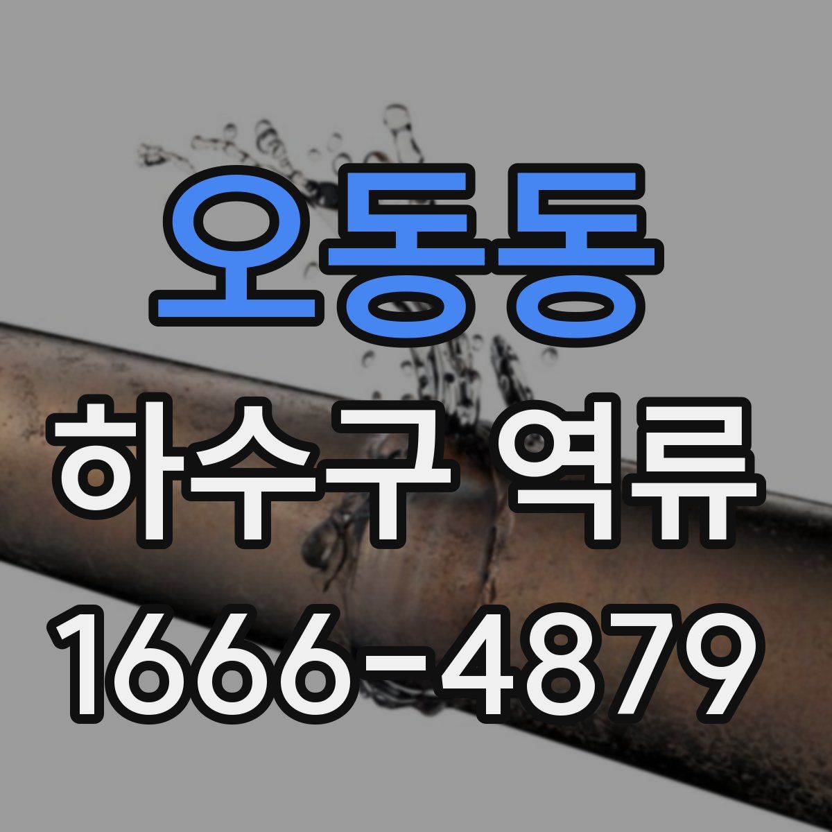 오동동 하수구 역류
