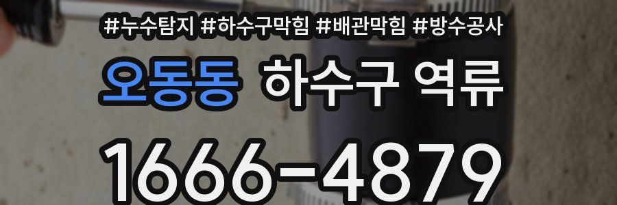 오동동 하수구 역류