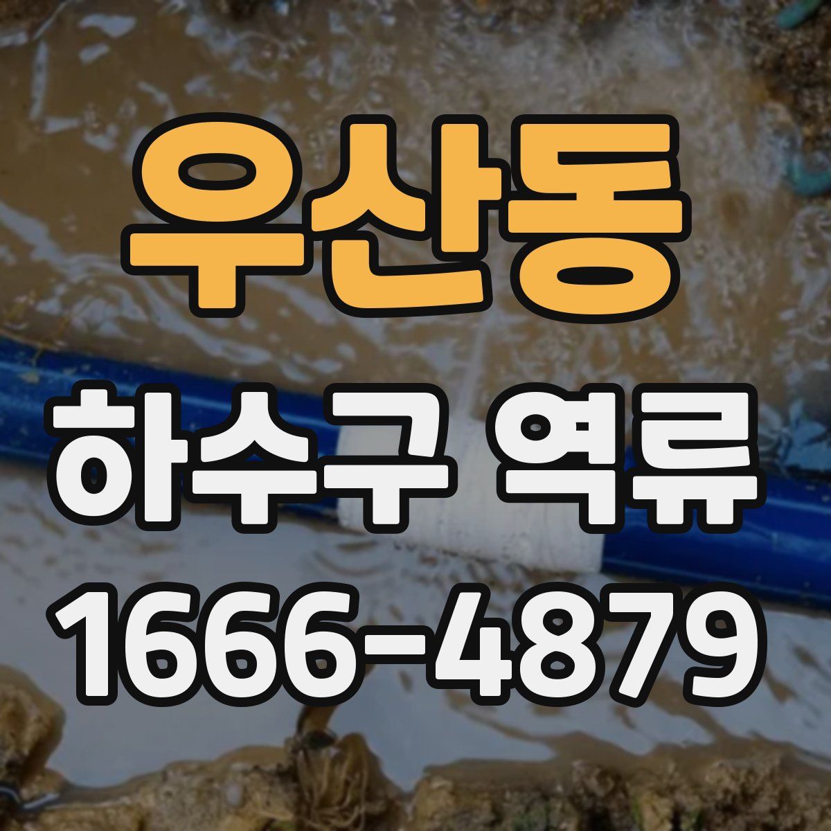 우산동 하수구 역류