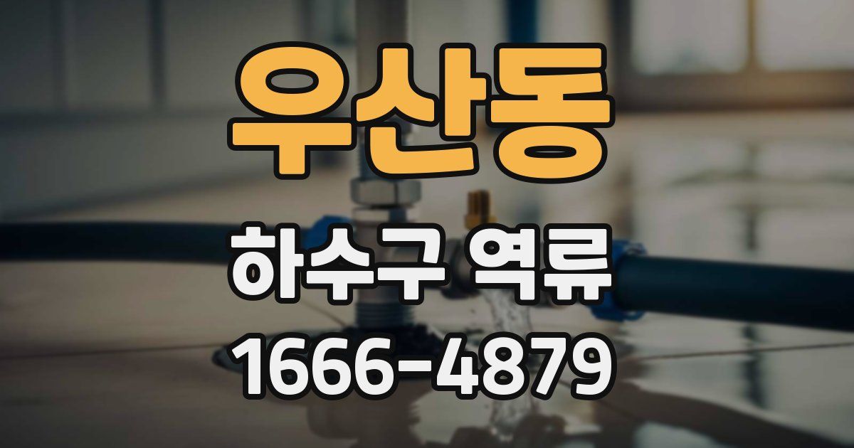 우산동 하수구 역류