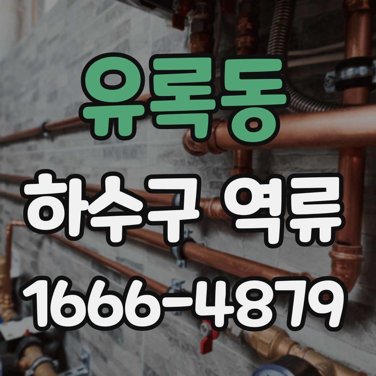 유록동 하수구 역류
