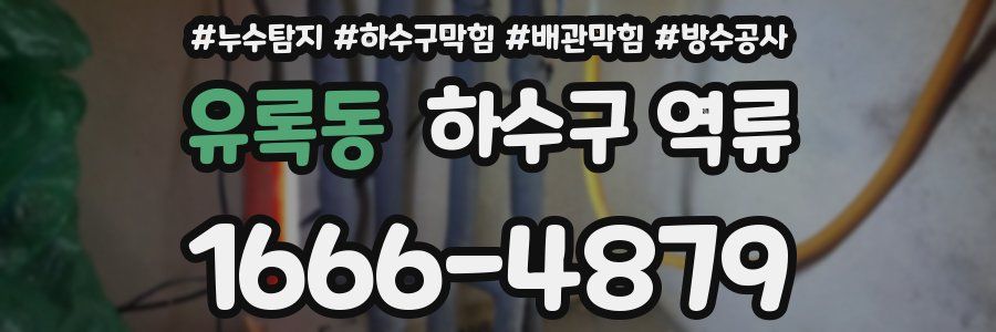 유록동 하수구 역류