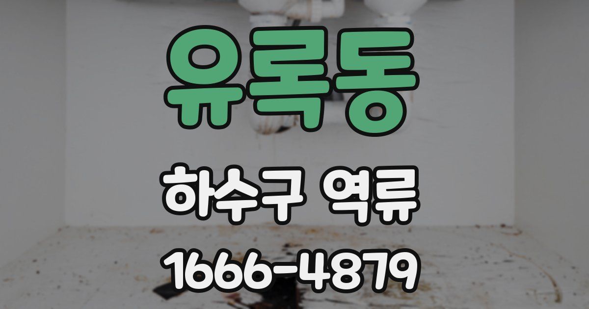 유록동 하수구 역류