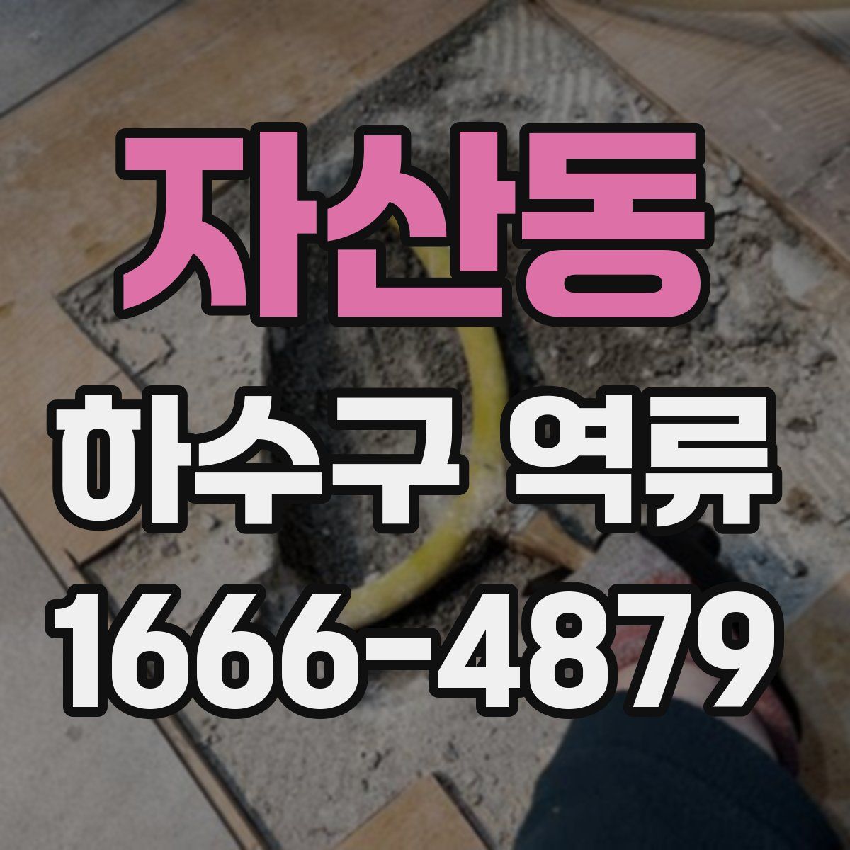 자산동 하수구 역류