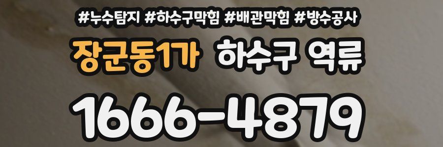 장군동1가 하수구 역류