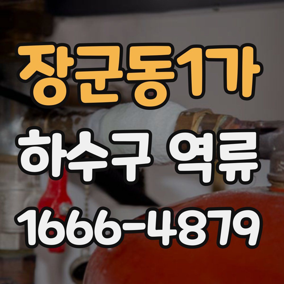 장군동1가 하수구 역류