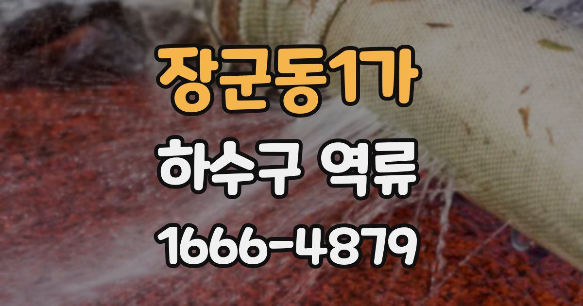 장군동1가 하수구 역류