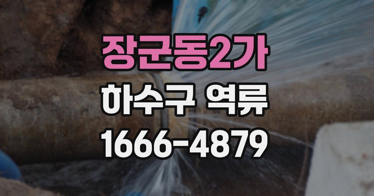 장군동2가 하수구 역류