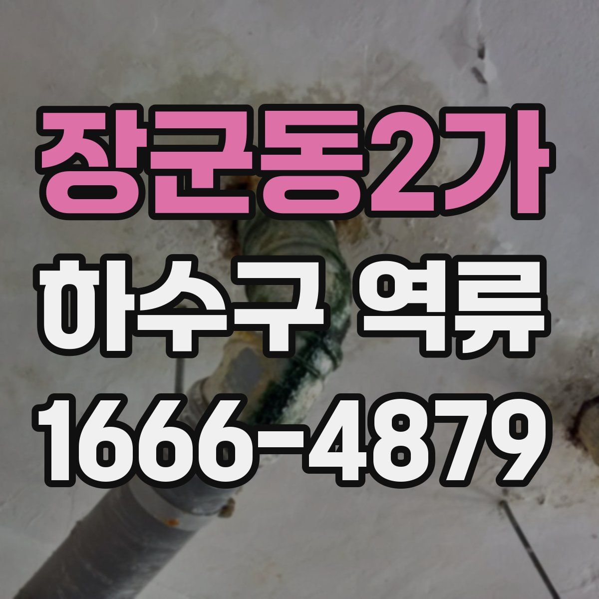 장군동2가 하수구 역류