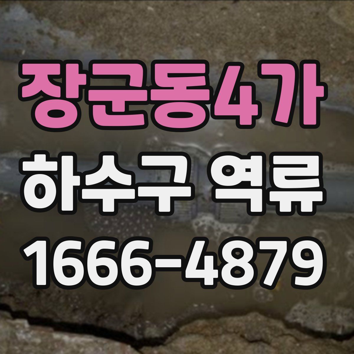 장군동4가 하수구 역류