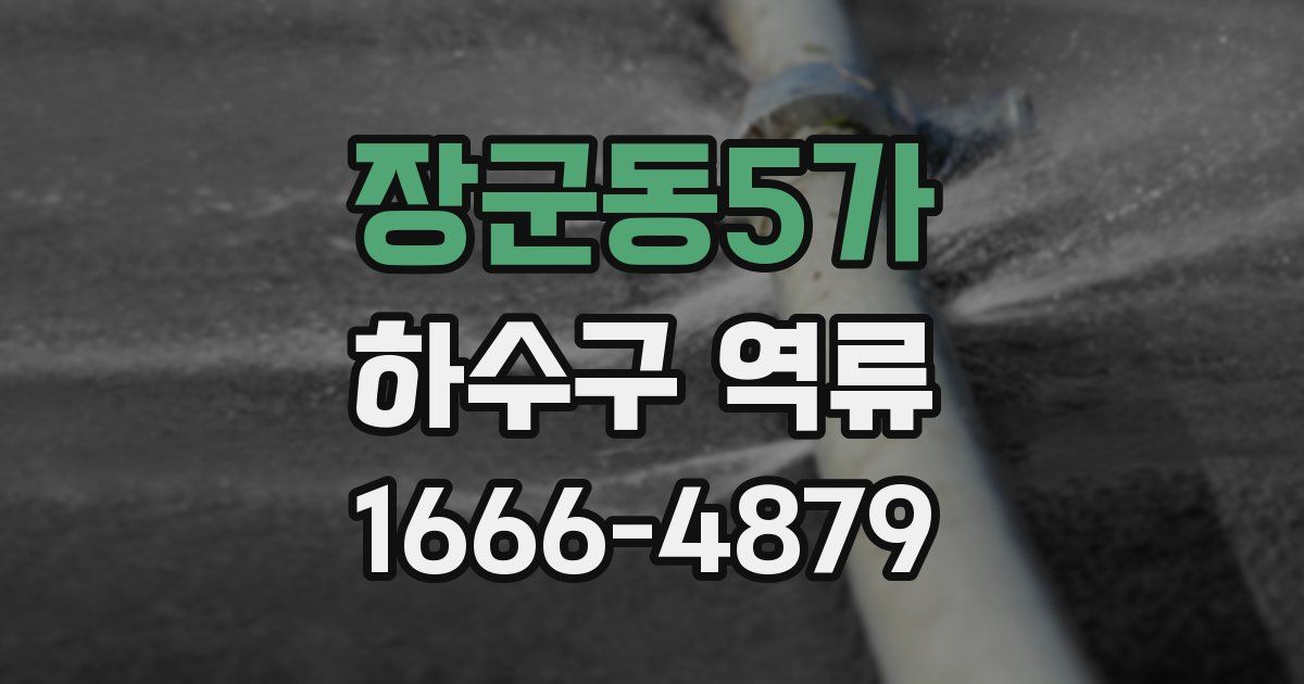 장군동5가 하수구 역류