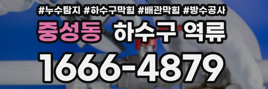 중성동 하수구 역류