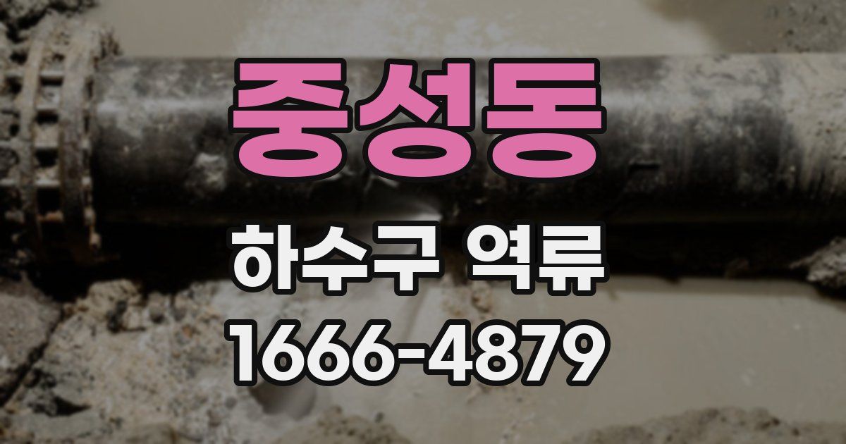 중성동 하수구 역류