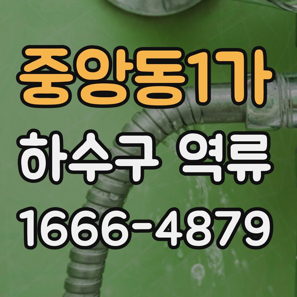 중앙동1가 하수구 역류