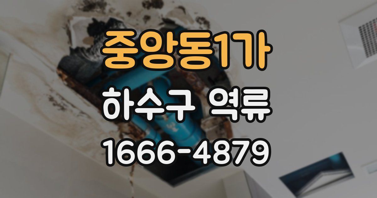 중앙동1가 하수구 역류
