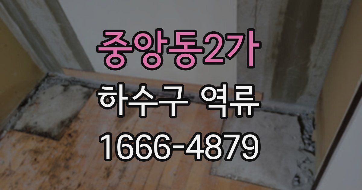 중앙동2가 하수구 역류