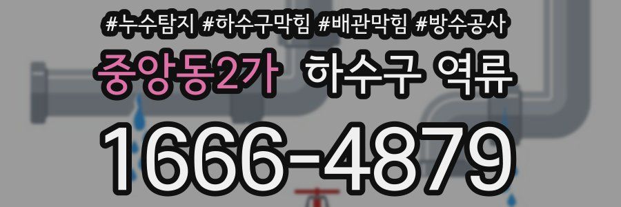 중앙동2가 하수구 역류
