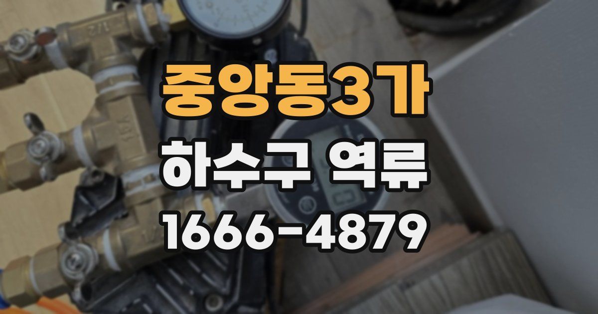 중앙동3가 하수구 역류