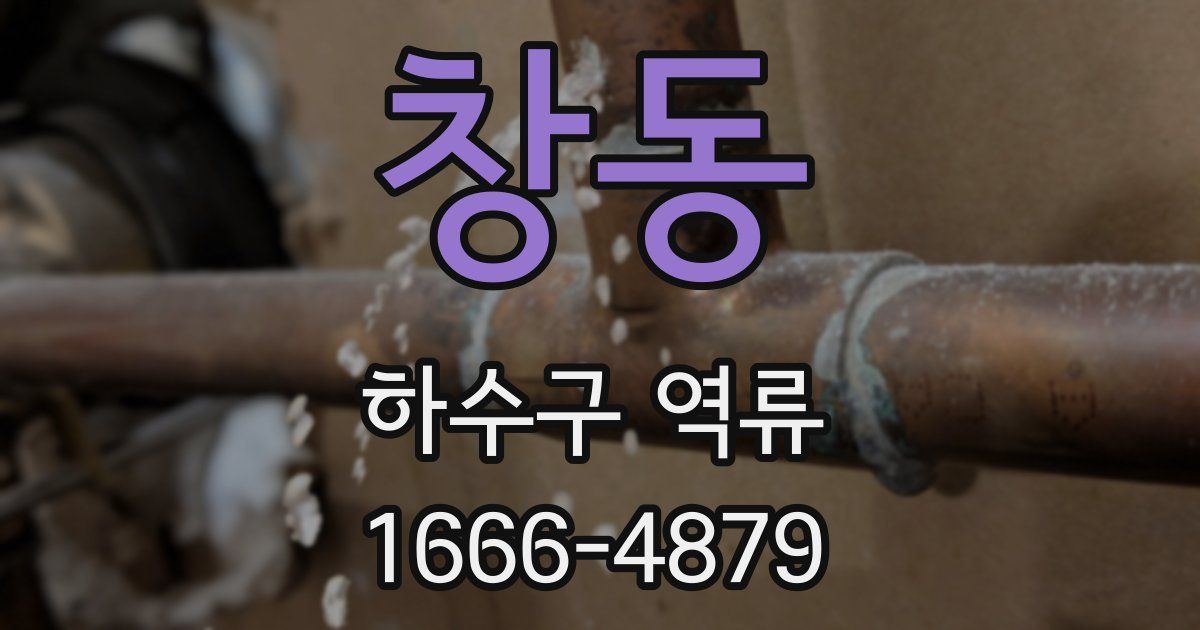 창동 하수구 역류