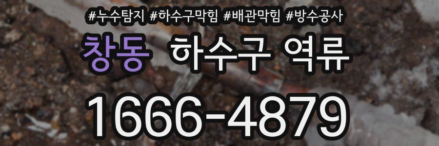 창동 하수구 역류